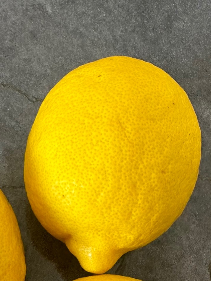 Kadir Çetinçalı : "Keyfimize limon sıkıldı !"