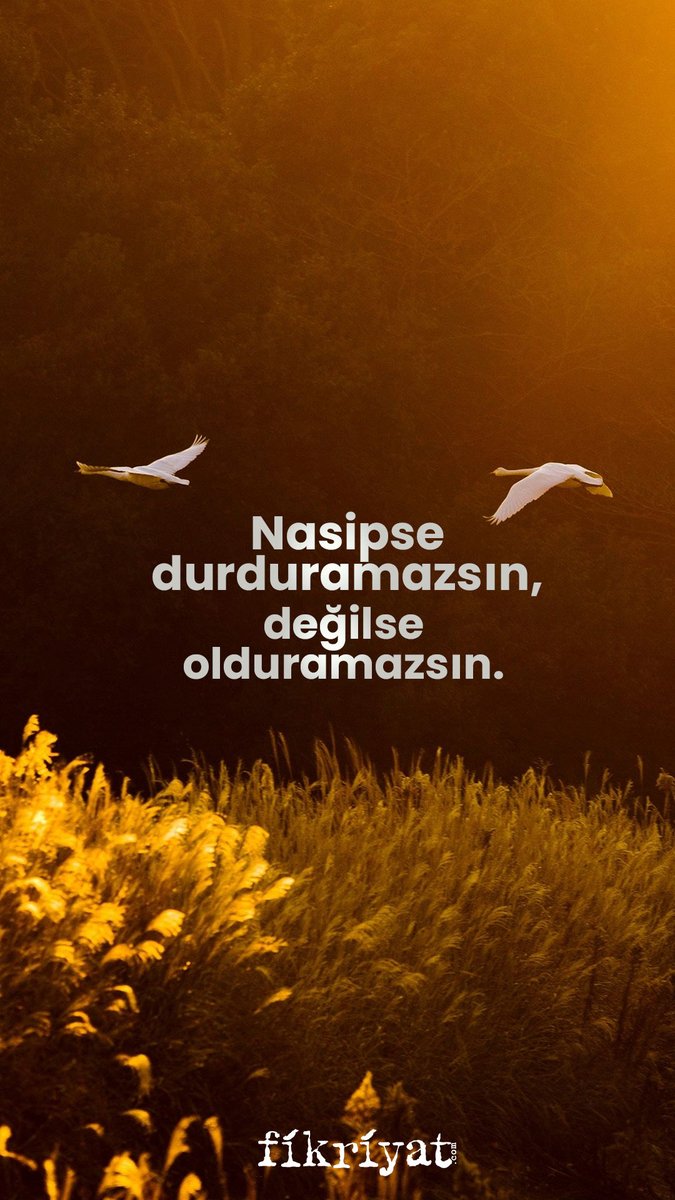 fikriyatcom's tweet photo. 💌📮 https://t.co/eAVH8JcKWS