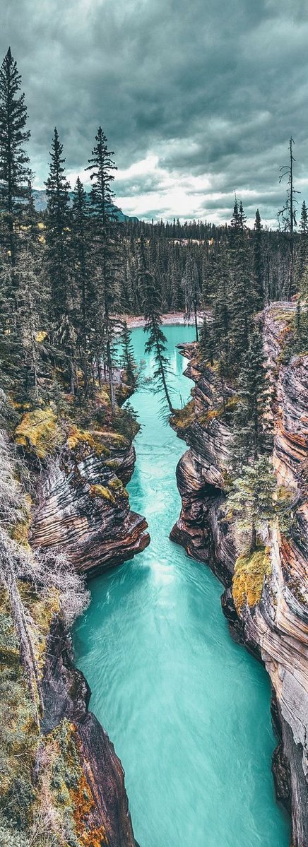 Jasper National Park Alberta 🇨🇦