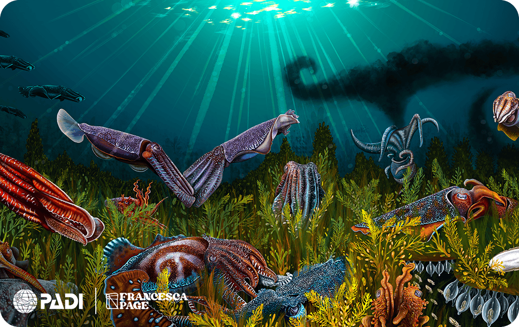 SoloLavoro's tweet image. "New trailer alert!  'Echoes of the Abyss' drops 10/12—ocean depths hide secrets, betrayal, and a race against time. Who will survive the tide  #EchoesOfTheAbyss #NewMovie"