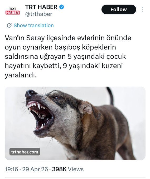 Büşra tweet media