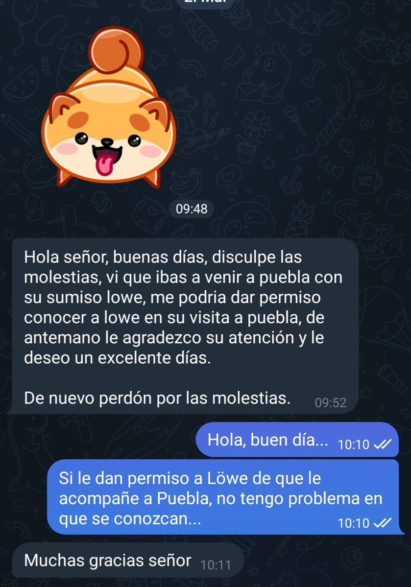 Por un momento me sentí en el rol de papá gringo posesivo al que le van a pedir permiso para que su hija salga al baile de graduación...
La familia Feßelknoten está por llegar a  Puebla capital...