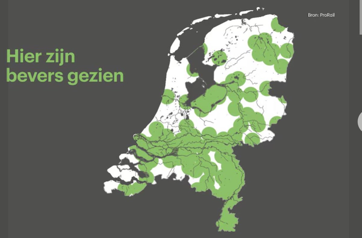 Nowolves Benelux tweet media