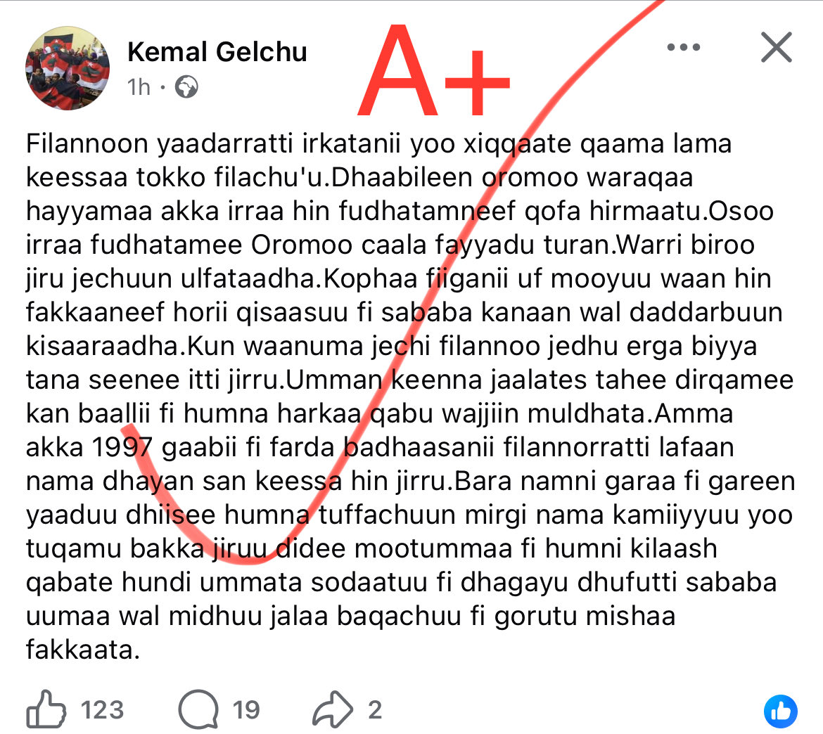 Badhaatuu Ayyalaa tweet media