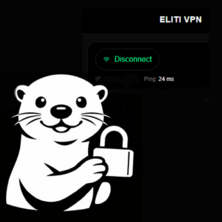 ELITI VPN tweet media