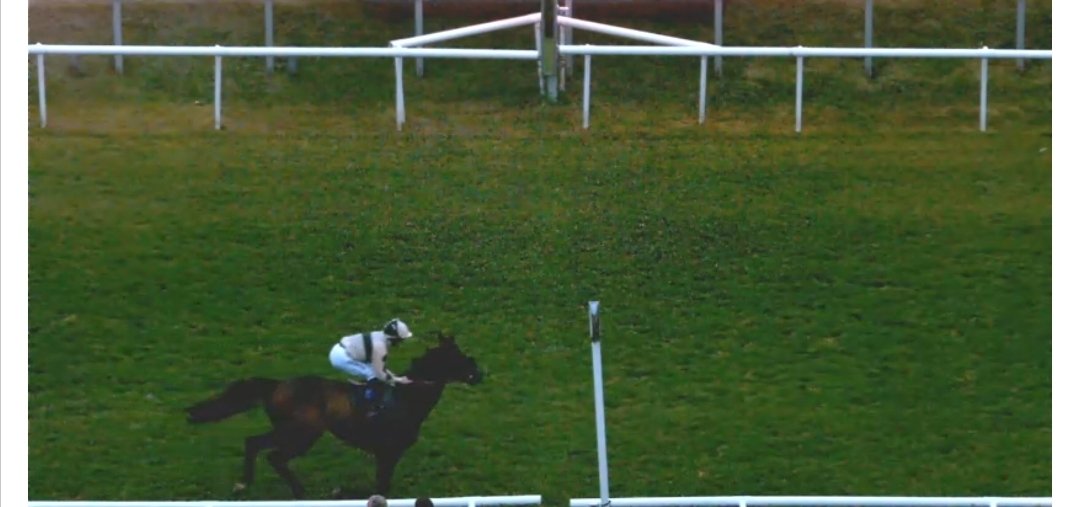 Macracing. tweet media