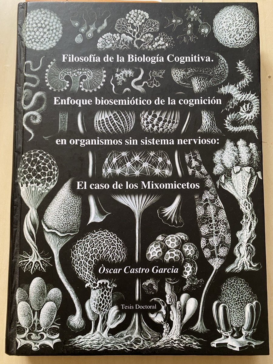 Sintonia Secreta tweet media