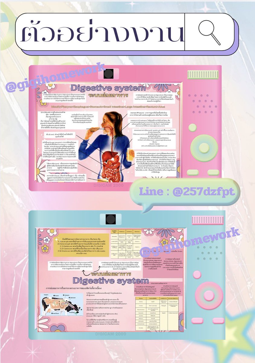gigi (รับทำการบ้าน) tweet media