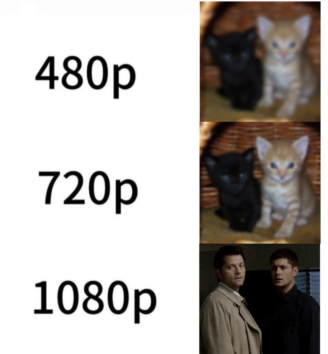 soph 🪽🐿️ | spntoronto tweet media