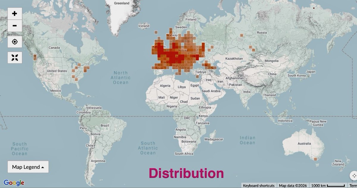 🐿️ 🇨🇭🇦🇹 🦋 Jennie 🐸 🇱🇮 🇩🇪 🦢 tweet media