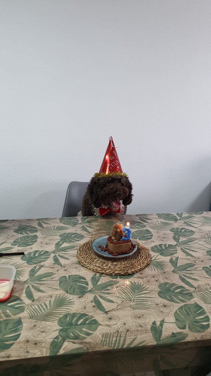 fxrzon's tweet photo. 3 añitos 🗣️ https://t.co/AOLWdFZwJN