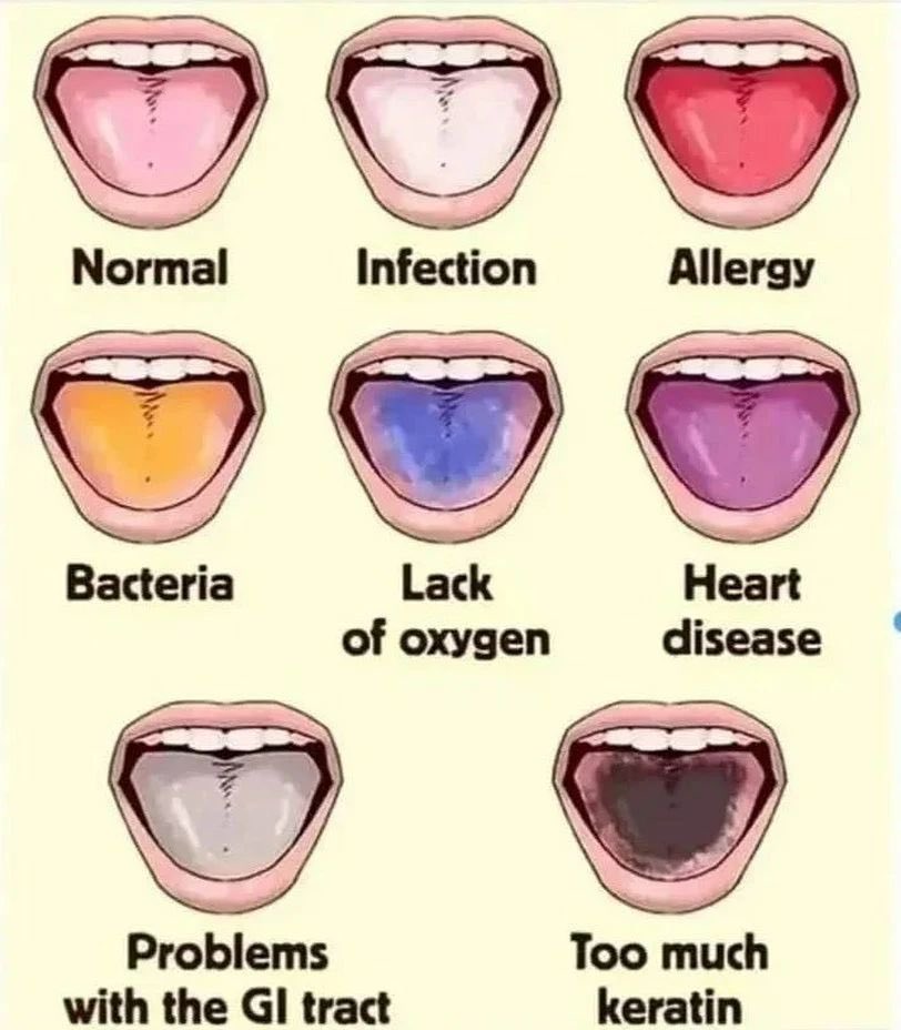 Self Health Area tweet media