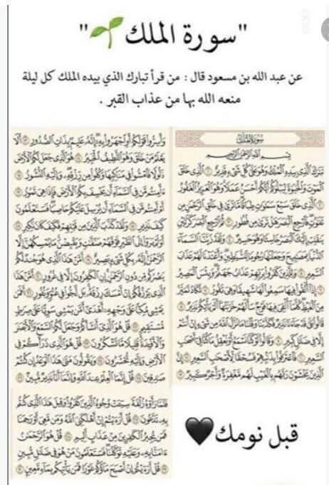 فوزى رماح tweet media