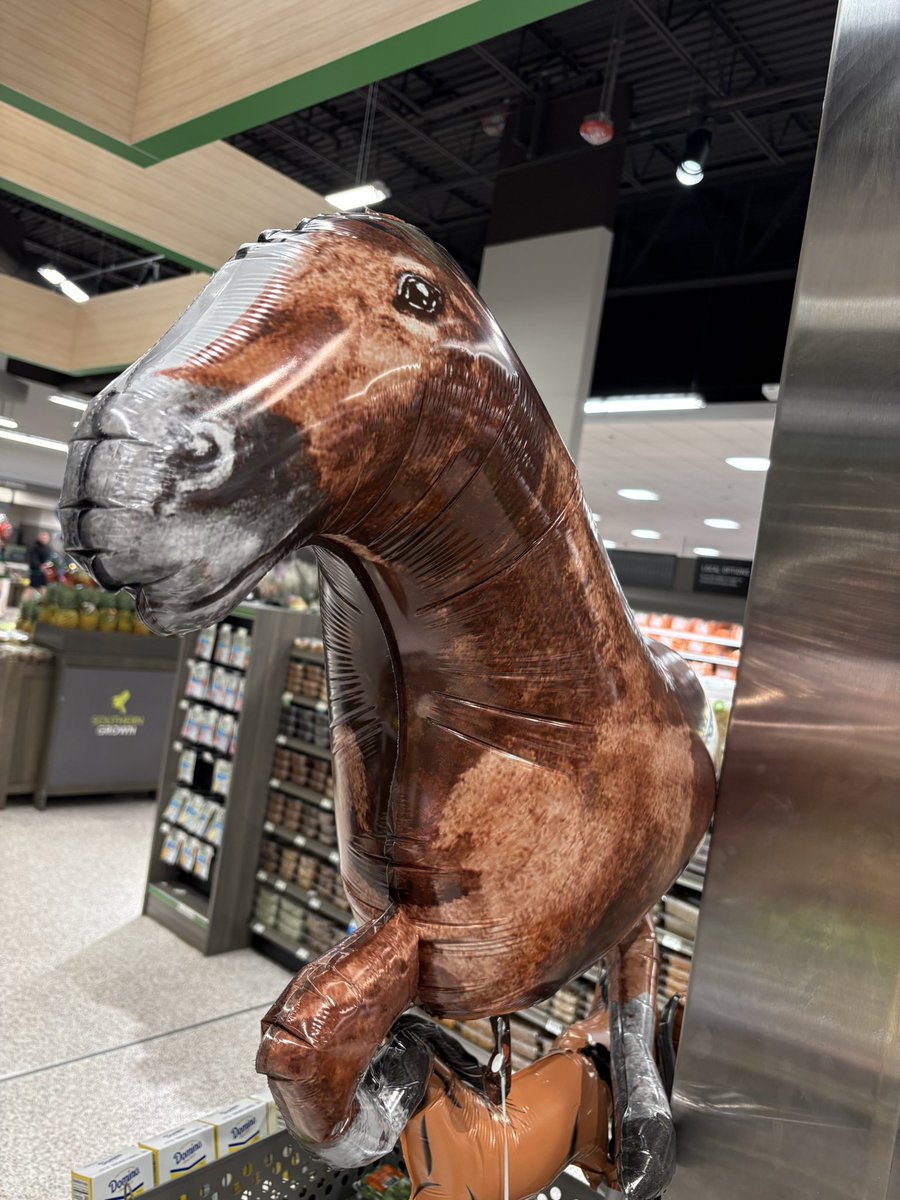 itsminbooo's tweet photo. i love you publix horse balloon 💕 https://t.co/PpBdm1e3ov