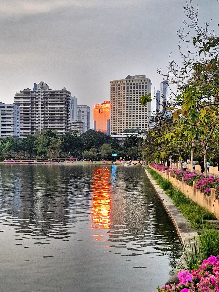 Thorada's tweet photo. Golden hour ride through Forest Park and Lumpini, lush green in full hot season. Pushed up the river to King Memorial Bridge, everything glowing gold. Hot, humid, perfect ride 🚴‍♂️🌿🌅
#BangkokLife #Cycling #GoldenHour https://t.co/eBXs0pOPhK
