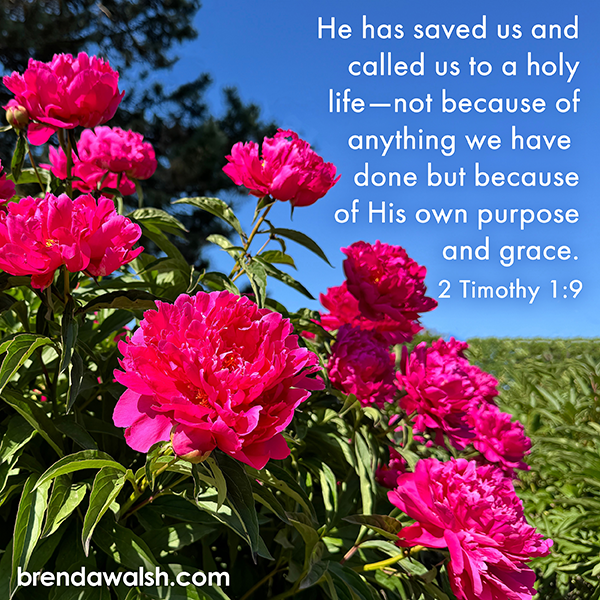 brendakwalsh's tweet image. Today's Daily Scripture Picture: Sovereign Salvation
2 Timothy 1:9 – “He has saved us and called us to a holy life – not because of anything we have done but because of His own purpose and grace.”

#Christian #ChristianLiving #verseoftheday #bible #bibleverse #salvation #purpose