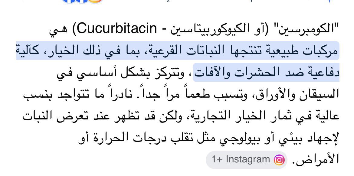 متصعلك tweet media