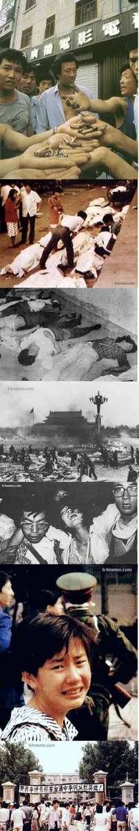 lovechina2022 tweet media