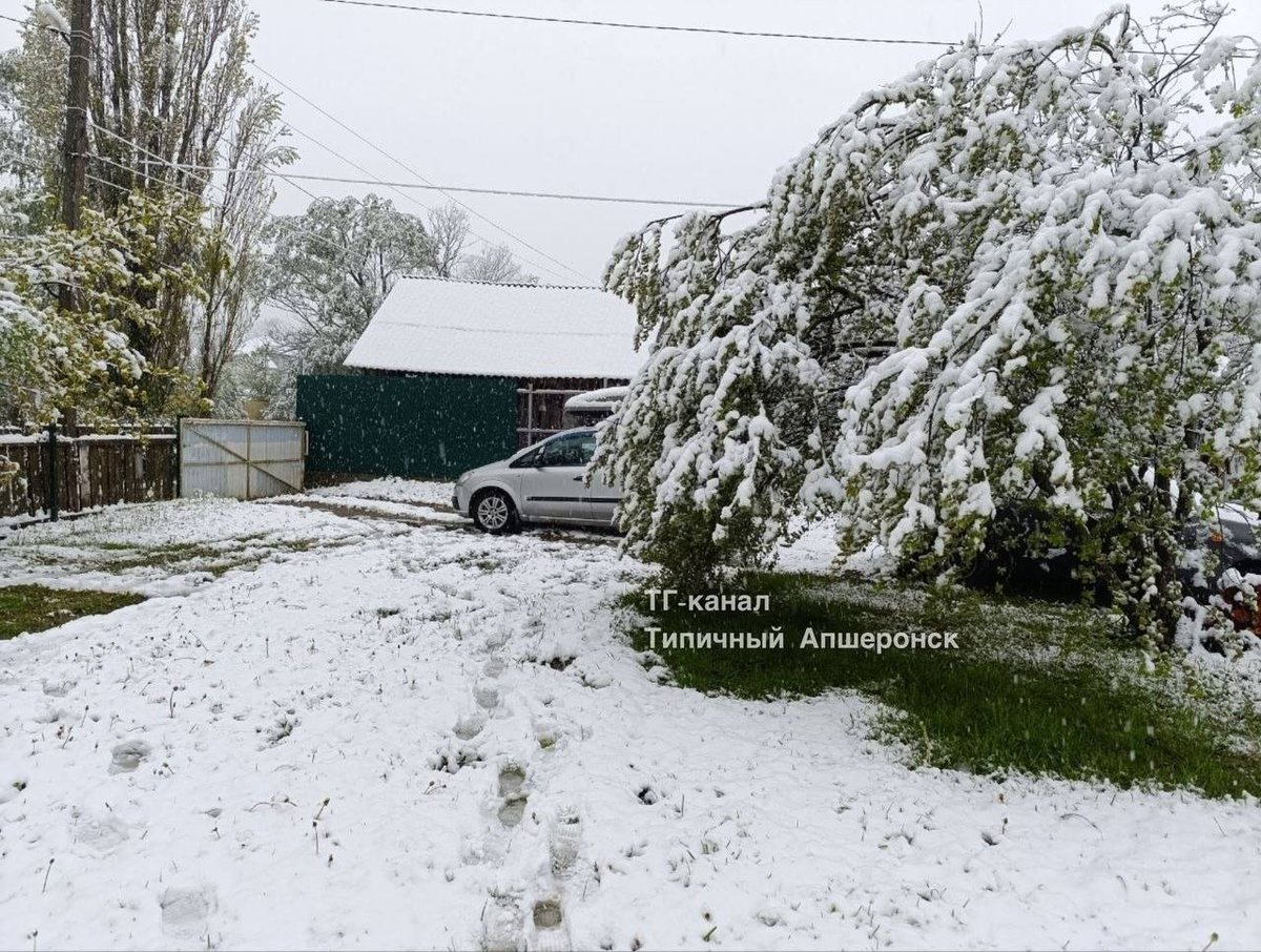 irene_makarenko's tweet image. May 02_2⃣🌡️❄️
🚩Climate Awareness

❄️Snowfall in Adjara, #Georgia
❄️May snowman in the city of Karya, Corinthia, #Greece
❄️Snowfall in the Adygea Republic, #Russia
❄️Snowfall in Apşeronsky district of Krasnodar Krai, Russia
#ExtremeWeather #saturdaisy #weatherphotography