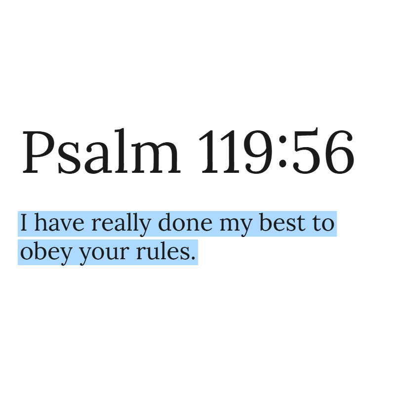 Holy Bible tweet media