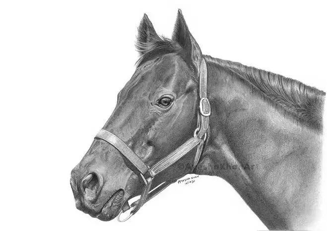 AyeshaKhanArt's tweet photo. Happy Heavenly Birthday War Admiral (The Mighty Atom)
Foaled May 2, 1934.
@riddle_farm @KentuckyDerby @hamburgfarmslex @horsevault @keeponracing @TeamZenyatta @amer_pharoah #cigar #seattleslew #alysheba #swaps #triplecrownwinner #ManOWar #waradmiral #art #equineart #happybirthday https://t.co/LRo0QabhRV