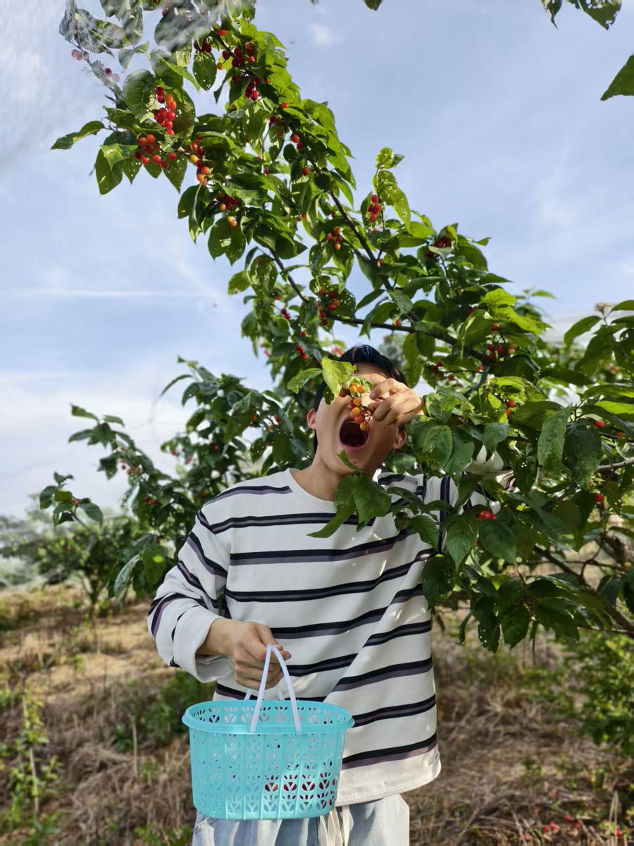 james_maxw93493's tweet photo. cherries https://t.co/30ceg0cG33