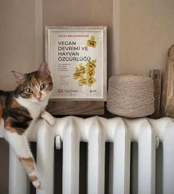 obakkaliyesi's tweet photo. Vegan Devrimi ve Hayvan Özgürlüğü /Türkiye'den ve Dünyadan Mücadele Örnekleriyle
Zülal Kalkandelen
Cumhuriyet Kitapları
@veganzulal #vegan #devrimi #hayvan #Türkiye #dünyadan #mücadele #örnekleriyle #özgürlüğü #zülalkalkandelen #kitap @KitapKulubu #cumhuriyet https://t.co/xwX4Q0EFkt