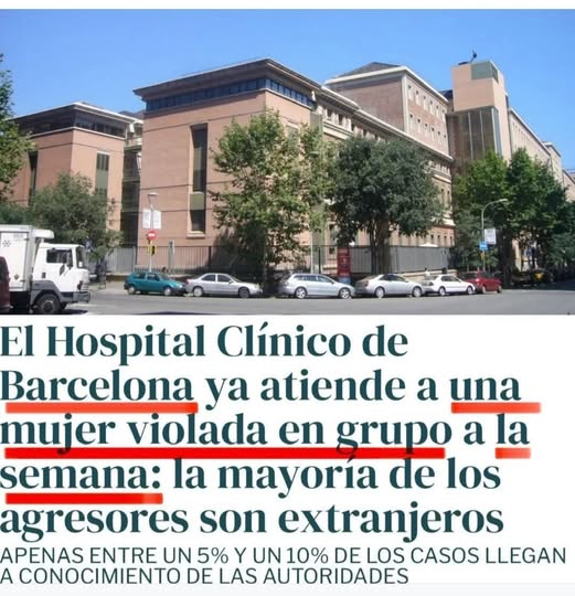 PEPE, en Español . INVICTUS MANEO.🇪🇸 🇮🇱 tweet media