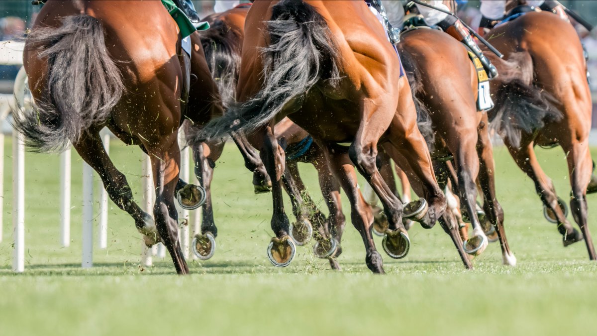 Churchill Downs tweet media
