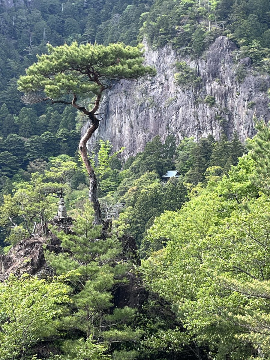okamonn29's tweet photo. 昨日は鳳来寺山へ
鏡岩まで行きたかったのですが駐車場の施錠時間が16:30という事で今回は断念。
森林浴楽しんできました🚶🌿 https://t.co/7JoplNB2Fk