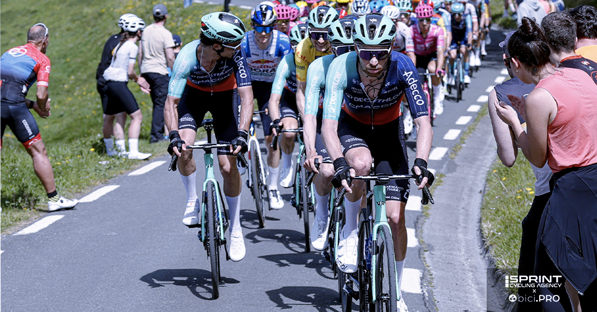 biciPRO1's tweet image. «Con un grande leader l'approccio del gregario cambia tutto». @DarioCataldo  ci porta dentro le dinamiche di un team quando c’è un capitano che dà certezze
#ciclismo #bicpro #cycling

bici.pro/news/professio…