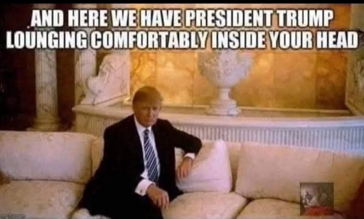 🇺🇸MAGA MAN🇺🇸 tweet media