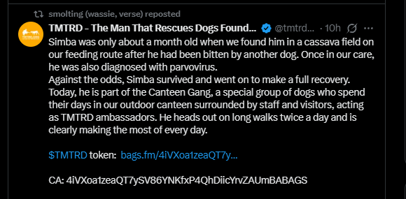 DigitialOptimus's tweet photo. The only coin smolting has ever promoted is $TMTRD its a charity/donation coin for a dog rescue org in Thailand. Smolting keeps retweeting their posts that have a ca and donation link attatched and is a member in their community. 
4iVXoa1zeaQT7ySV86YNKfxP4QhDiicYrvZAUmBABAGS https://t.co/isigzWpVvo