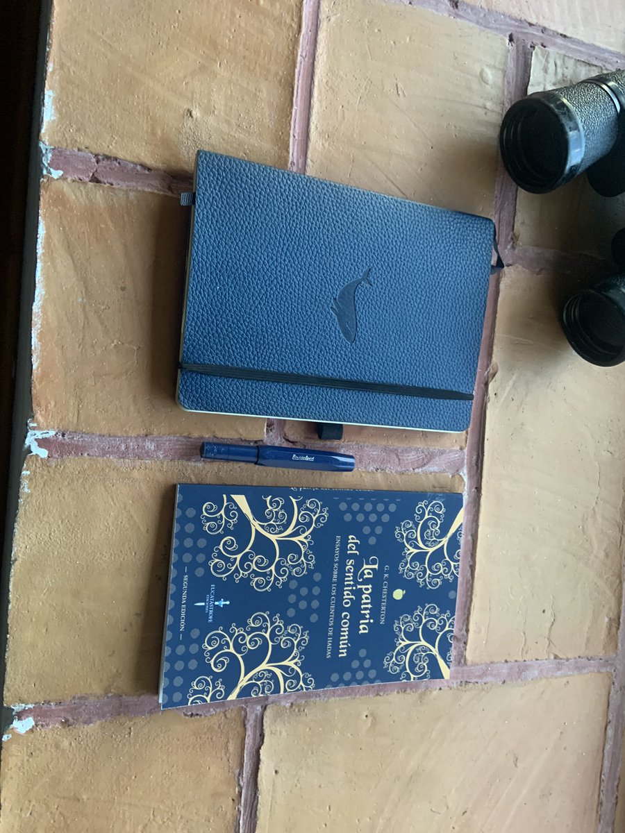 teresushii's tweet photo. 💙🐋📘🖌️ https://t.co/LT628Gff8w