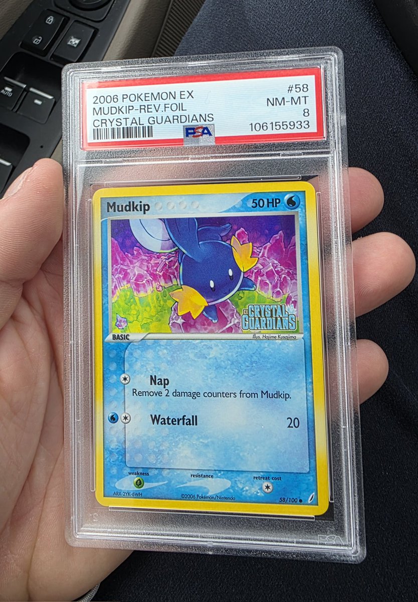 scumbreonpk's tweet photo. You ever seen a water pokemon that gives off this much 🔥🔥🔥
 
Mudkip? Reverse stamp? Its got everything!

Awesome pickup at the card show this morning, and for a great price as well! https://t.co/gJqxyKPZbY