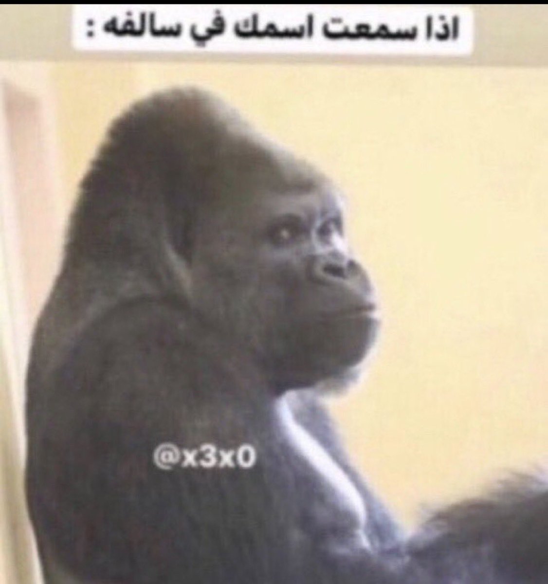 Ahmed tweet media