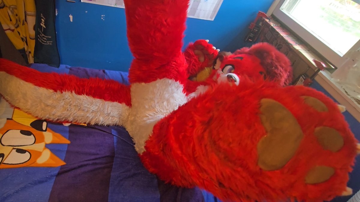 Timmy the Otter 🏳️‍🌈 🔜 FWA tweet media