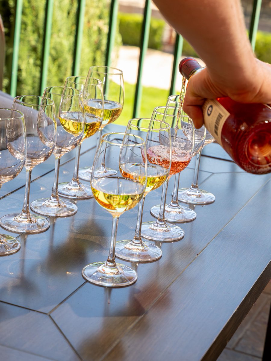 SCWinery's tweet photo. 🥂Round up the besties, a wine tasting trip is calling!
Sip on award-winning wines and pick your perfect tasting.🍷
Stroll the vineyard, snap the cutest pics. 📸
Then wrap it all up with a dinner at The Vineyard Rose Restaurant to end the night. 🍽️
https://t.co/NzvKiP1BGk https://t.co/VLQbQIIgwY