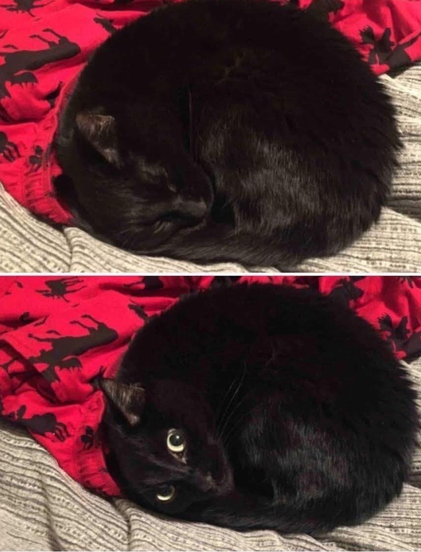 If you stare into the void long enough the void stares back