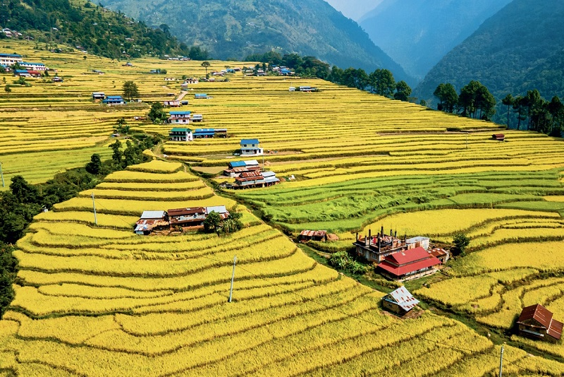 Augusto__Soto's tweet image. Diwas Raj Bista, "Seek a Seed in China", 今日中国, Spring 2026:"The “seed” is an entire system – the precise integration of technology, finance, markets, and infrastructure." #China #seed #system #infrastructure
chinatoday.com.cn/ctenglish/2018…