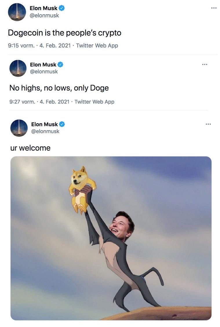DogeDesigner tweet media