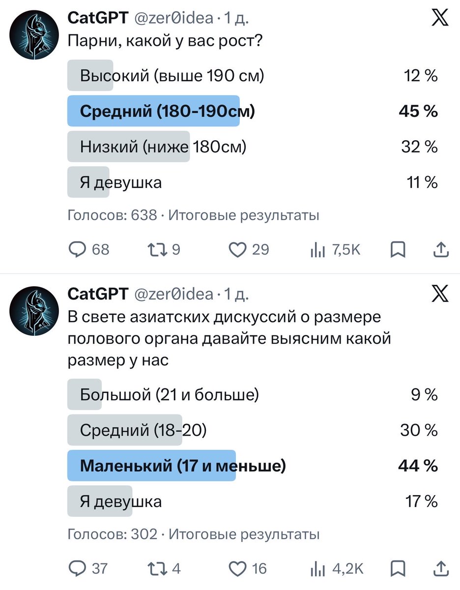 CatGPT tweet media