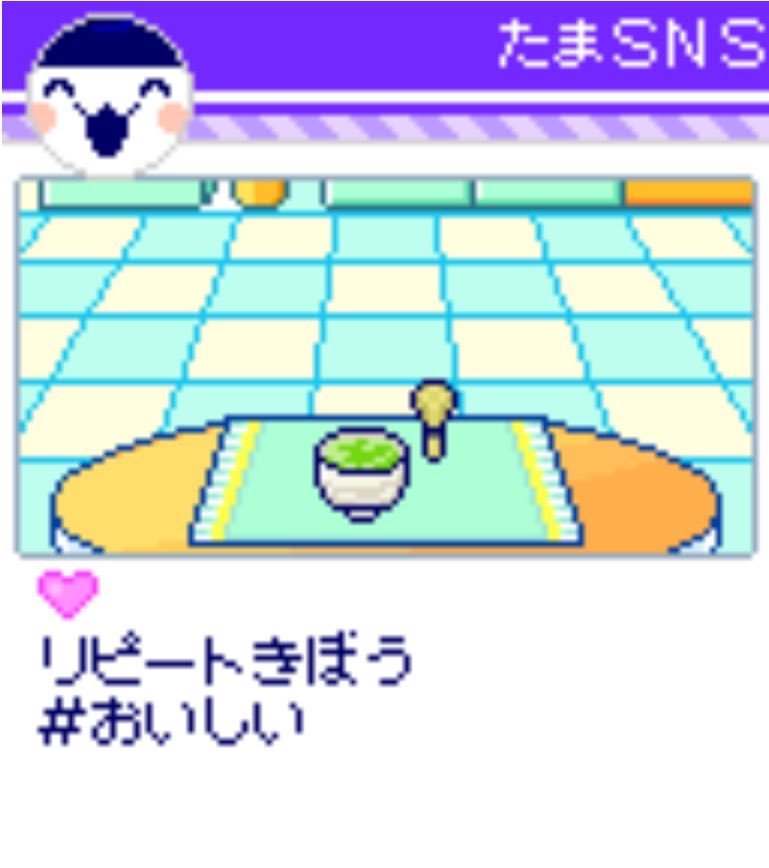 __zzzuni's tweet photo. 最近のみみさまのお食事

#たまSNS #みみっち https://t.co/E8gCMHRRcL
