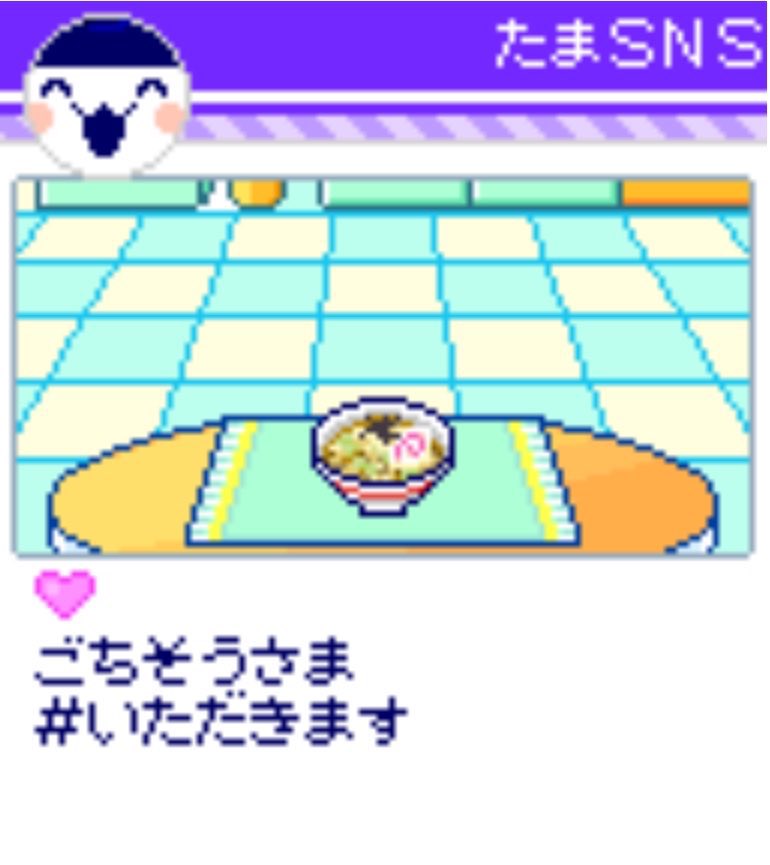 __zzzuni's tweet photo. 最近のみみさまのお食事

#たまSNS #みみっち https://t.co/E8gCMHRRcL