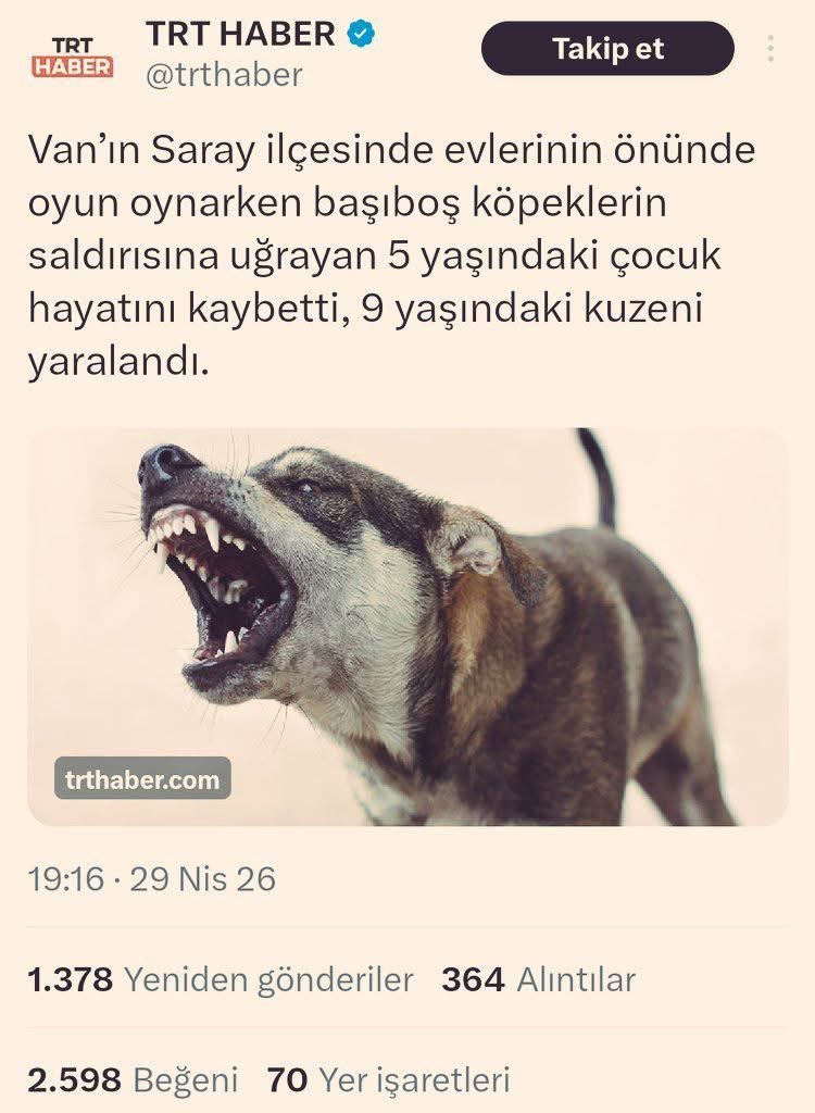 ᴍᴜʜᴀꜰɪᴢ 🇹🇷🐺 tweet media