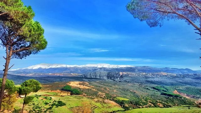 حسن|🇱🇧| tweet media