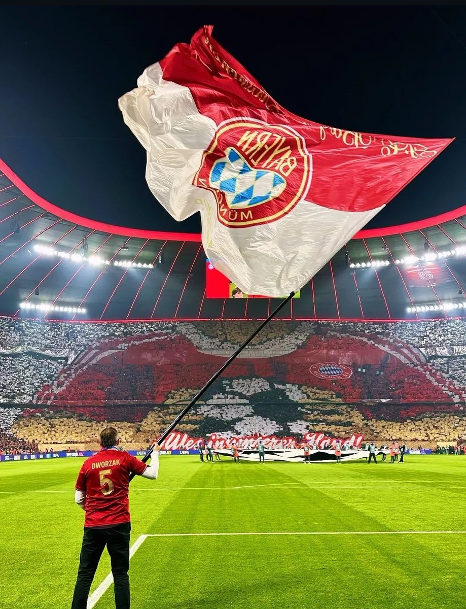 FC Bayern Türkiye tweet media