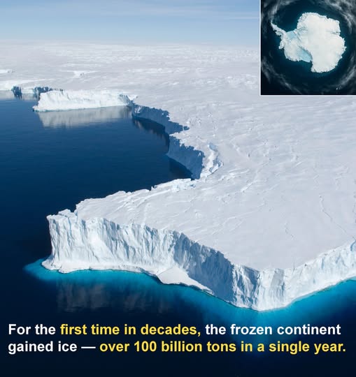 Association des Climato-Réalistes tweet media