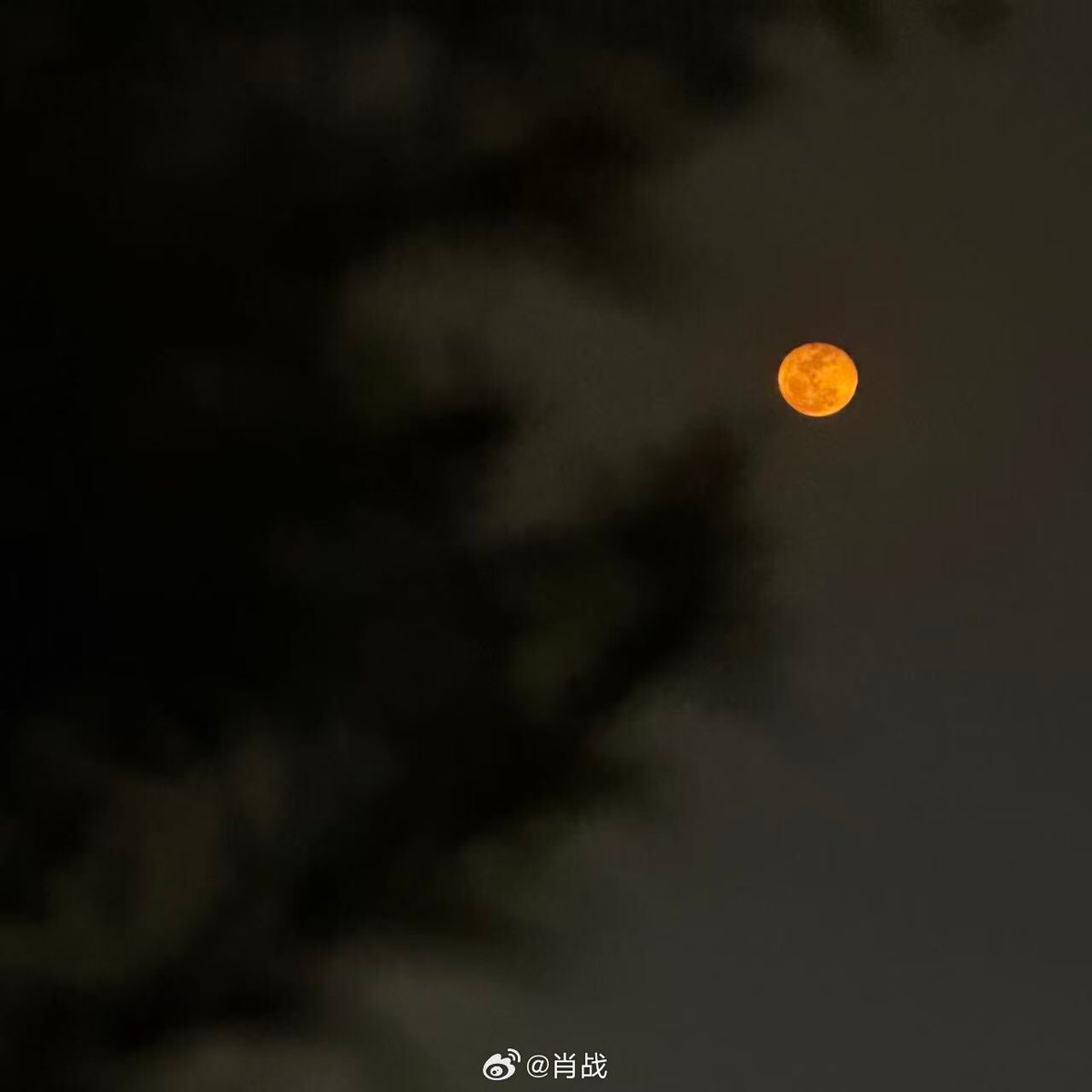 肖战影音会DAYTOY·Xiao Zhan tweet media